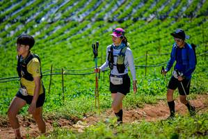 BIB: 2380
                            <button type="button" onclick="openModal(19164476)" class="btn btn-primary btn-sm float-right btn-popup" data-toggle="modal" data-target=".modal-high-quality">
                        <i class="fas fa-shopping-cart"></i> Add to Cart
                    </button>
                                            <button type="button" onclick="isThisMe(19164476, true)" class="btn btn-success btn-sm float-right btn-popup btn-isme hidden" data-toggle="tooltip" data-placement="bottom" title="นี่คือรูปของคุณใช่ไหม คลิกที่นี่เพื่อเอาเข้าอัลบั้ม">
                        <i class="fas fa-plus"></i> Add to album
                    </button>
                    <button type="button" onclick="isThisMe(19164476, false)" class="btn btn-warning btn-sm float-right btn-popup btn-isnotme hidden">
                        <i class="fas fa-ban"></i> Remove from album
                    </button>